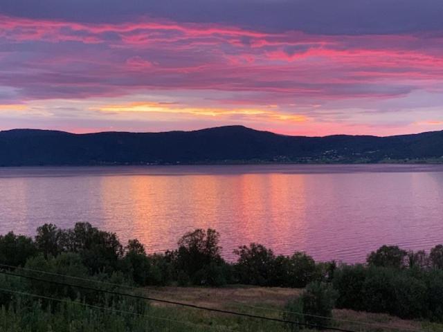 Bed And Breakfast Nordic Horn Brostadbotn Esterno foto