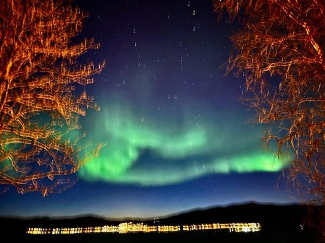 Bed And Breakfast Nordic Horn Brostadbotn Esterno foto