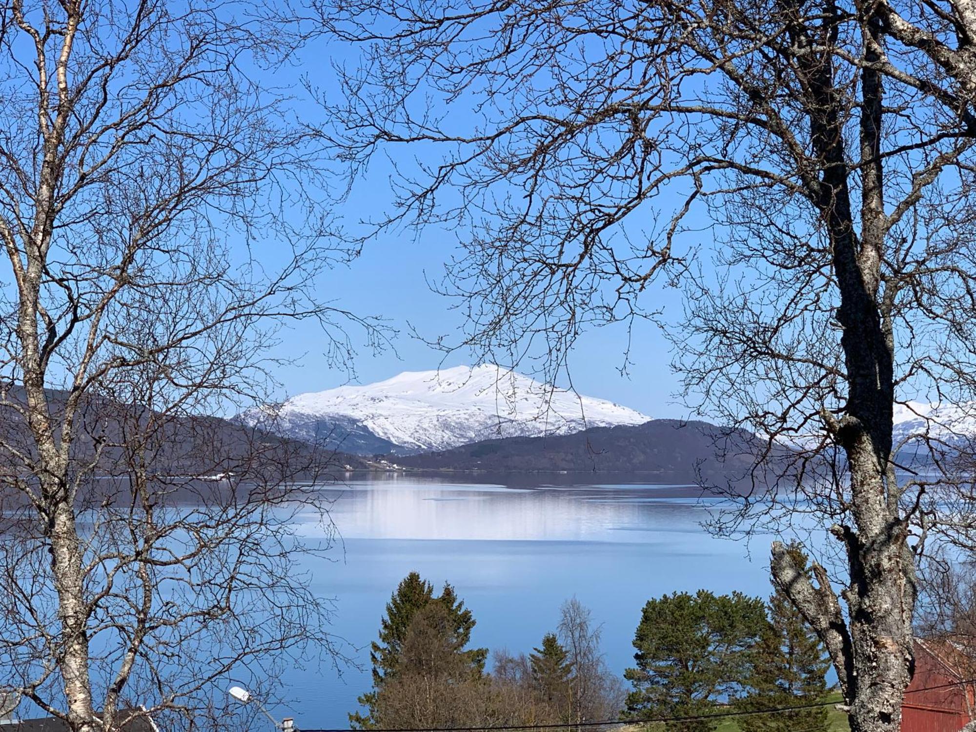 Bed And Breakfast Nordic Horn Brostadbotn Esterno foto